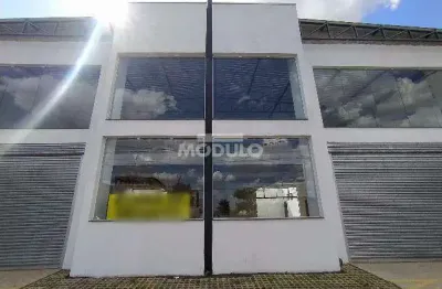 Barracão / Galpão / Depósito para alugar na Avenida Dom Pedro II, --, Alto Umuarama, Uberlândia