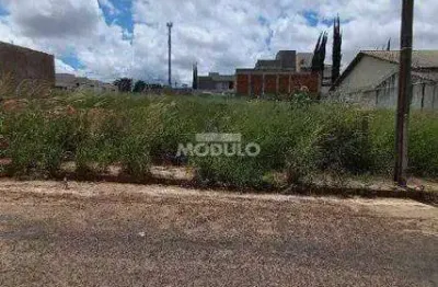 Terreno à venda na Rua Tapuios, --, Saraiva, Uberlândia