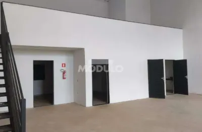 Barracão / Galpão / Depósito para alugar na Avenida Victor Alves Pereira, --, Novo Mundo, Uberlândia