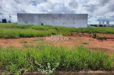 Terreno à venda na Alameda Dos Javaes, --, Alto Umuarama, Uberlândia