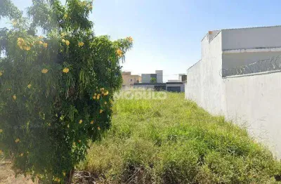 Terreno à venda na Rua Leonel Henrique Vitorino, --, Novo Mundo, Uberlândia