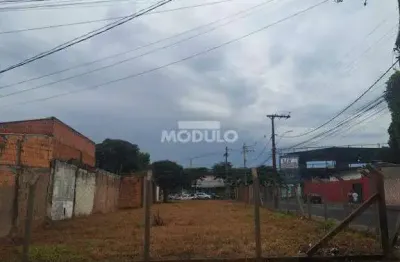 Terreno à venda na Alameda José Ferreira da Silva, --, Granada, Uberlândia