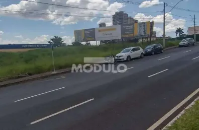 Terreno comercial para alugar na Avenida Nicomedes Alves dos Santos, --, Morada da Colina, Uberlândia