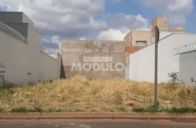 Terreno à venda na Rua Santa Albertina, --, Laranjeiras, Uberlândia