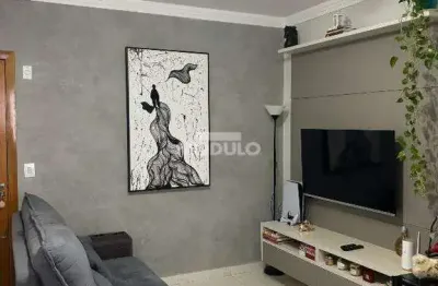 Apartamento à venda, 2 quartos, 1 suíte, 1 vaga, novo mundo - uberlândia/mg