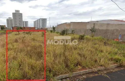Terreno à venda na Rua Ariano Suassuna, --, Minas Gerais, Uberlândia