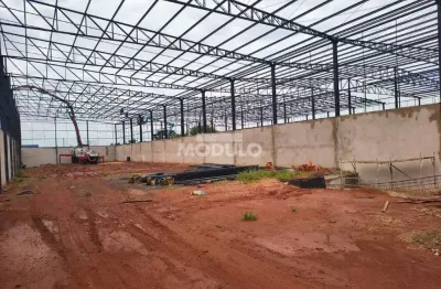 Barracão / Galpão / Depósito para alugar na Rua Will Cargill, --, Distrito Industrial, Uberlândia