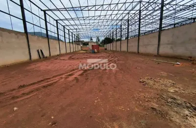 Barracão / Galpão / Depósito para alugar na Rua Will Cargill, --, Distrito Industrial, Uberlândia