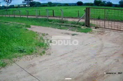 Chácara / sítio à venda na Rodovia BR-365, --, Área Rural de Uberlândia, Uberlândia