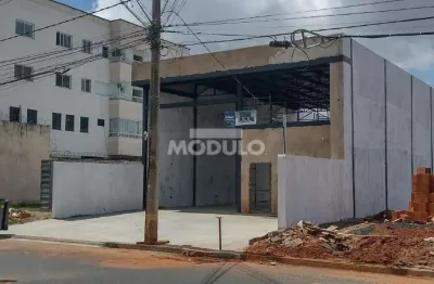 Barracão / Galpão / Depósito para alugar na Avenida Dom Pedro II, --, Alto Umuarama, Uberlândia