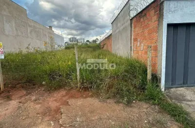 Terreno no bairro shopping park 300 metros proximo ao escola espaço letrado