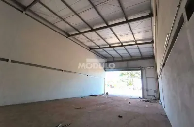 Barracão / Galpão / Depósito para alugar na Avenida João Naves de Ávila, --, Santa Mônica, Uberlândia