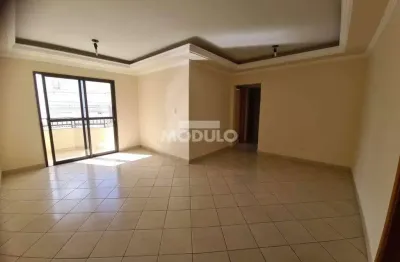 Apartamento à venda, 2 quartos, 1 suíte, 2 vagas, santa mônica - uberlândia/mg
