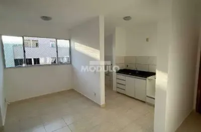 Apartamento à venda, 2 quartos, 1 vaga, jardim celia - uberlândia/mg