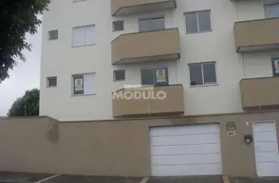 Apartamento para aluguel, 2 quartos, 1 suíte, 2 vagas, santa mônica - uberlândia/mg