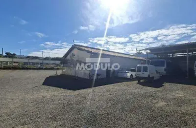 Barracão / Galpão / Depósito para alugar na Avenida Professora Minervina Cândida De Oliveira, --, Osvaldo Rezende, Uberlândia