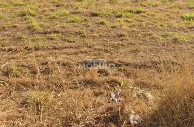 Terreno à venda na Rua Marcília Francisca de Oliveira, --, Mansour, Uberlândia