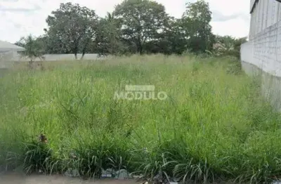 Terreno à venda na Avenida Imbaúbas, --, Jaraguá, Uberlândia