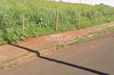 Terreno à venda na Rua Silex, --, Dona Zulmira, Uberlândia