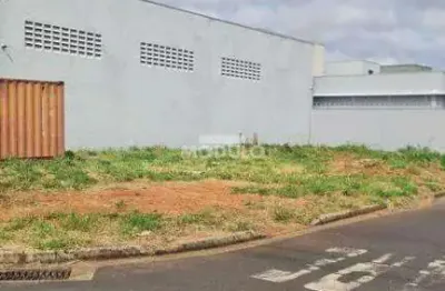 Terreno à venda na Avenida Victor Alves Pereira, --, Novo Mundo, Uberlândia