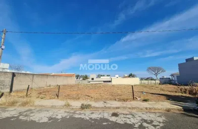 Terreno à venda na Avenida Palmeira Imperial, --, Bosque dos Buritis, Uberlândia