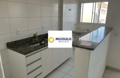 Apartamento à venda, 2 quartos, 2 vagas, shopping park - uberlândia/mg