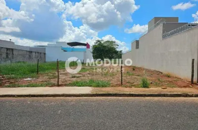 Terreno à venda na Rua Amore, --, Jardim Karaíba, Uberlândia