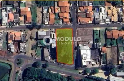 Terreno à venda na Rua das Papoulas, --, Cidade Jardim, Uberlândia