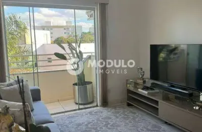 Apartamento à venda, 2 quartos, 1 suíte, 2 vagas, alto umuarama - uberlândia/mg