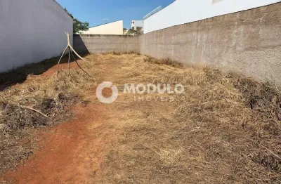 Terreno à venda na Rua Aracaty, --, Jardim Karaíba, Uberlândia