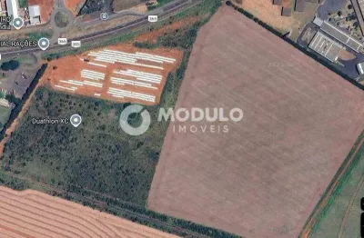 Terreno à venda na Rodovia BR-365, --, Conjunto Alvorada, Uberlândia