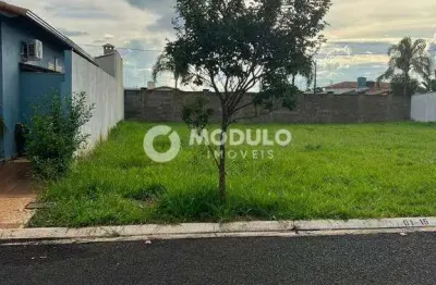 Lote em condomínio à venda, jardim sul - uberlândia/mg