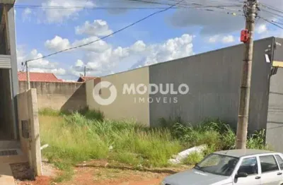 Lote disponivel para locação no bairro jardim holanda.