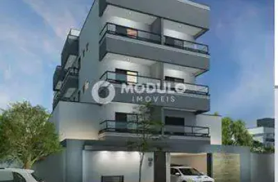 Apartamento à venda, 2 quartos, 1 suíte, 1 vaga, santa mônica - uberlândia/mg