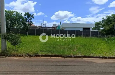Terreno à venda na Rua Transição, --, Laranjeiras, Uberlândia