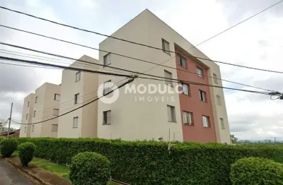 Apartamento disponivel para locação no bairro alto umuarama.