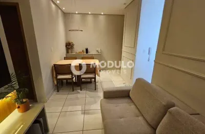 Apartamento à venda, 2 quartos, 2 suítes, 1 vaga, alto umuarama - uberlândia/mg