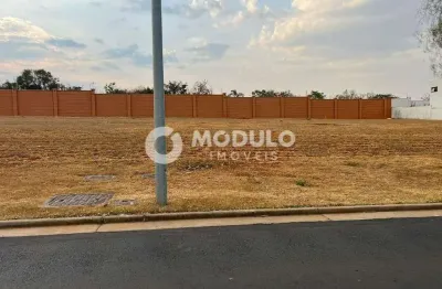 Terreno em condominio à venda, granja marileusa - uberlândia/mg