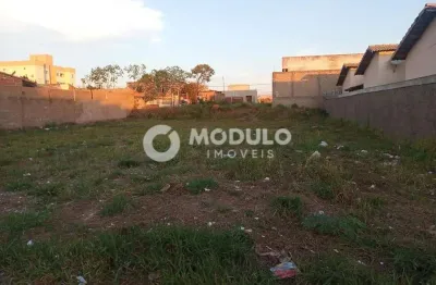 Terreno à venda na Rua Lourival Raghiante Samora, --, Shopping Park, Uberlândia