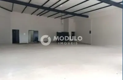 Casa para alugar na Rua Rotary Clube, --, Tibery, Uberlândia