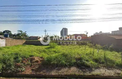 Terreno à venda na Rua dos Resedas, --, Jardim Célia, Uberlândia