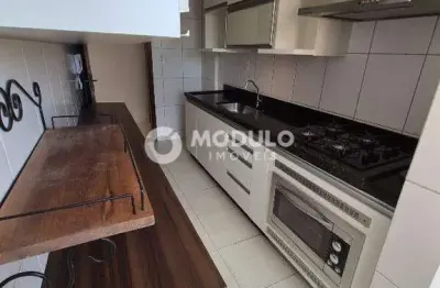 Apartamento à venda, 2 quartos, 1 suíte, 2 vagas, santa maria - uberlândia/mg