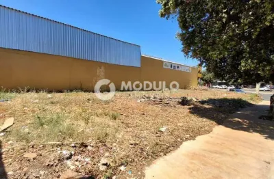 Terreno à venda na Rua Joaquina Porello Dias, --, Santa Mônica, Uberlândia
