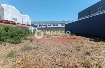 Terreno comercial/industrial à venda – 534 m² – bairro novo mundo