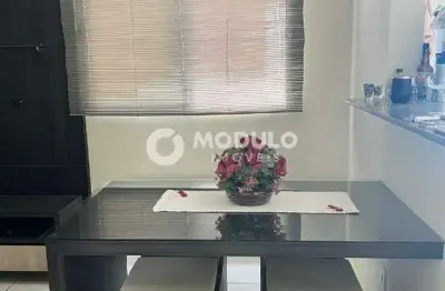 Apartamento à venda, 2 quartos, 1 vaga, shopping park - uberlândia/mg