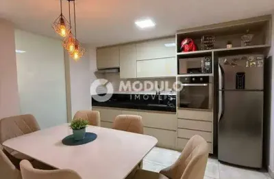 Apartamento à venda, 2 quartos, 1 suíte, 2 vagas, presidente roosevelt - uberlândia/mg