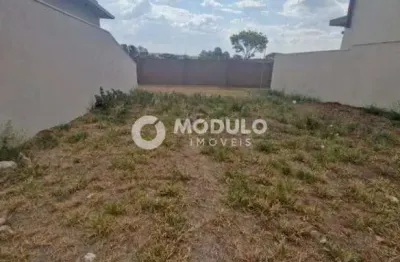Terreno em condomínio fechado à venda na Avenida das Copaibas, --, Gávea, Uberlândia