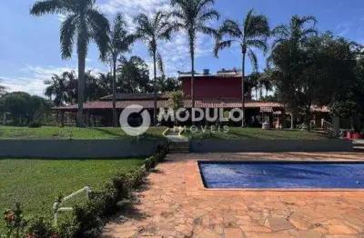 Chácara / sítio com 4 quartos à venda na Área Rural, --, Área Rural de Uberlândia, Uberlândia