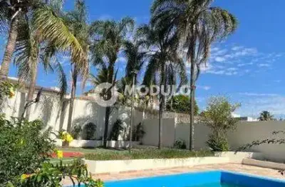 Casa com 5 quartos para alugar na Rua dos Canarinhos, --, Cidade Jardim, Uberlândia