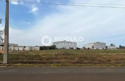 Terreno à venda, loteamento centro empresarial leste - uberlândia/mg
